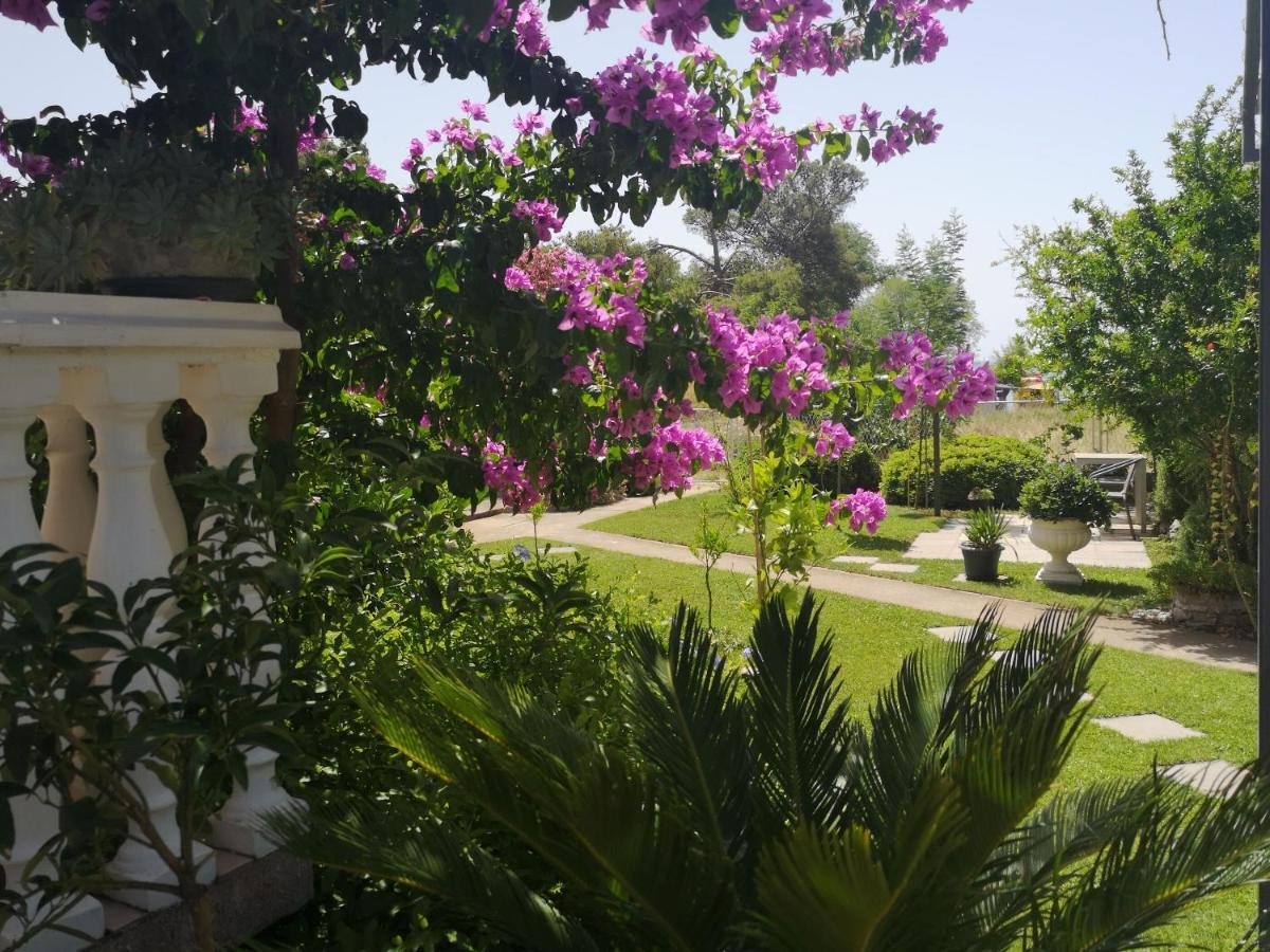 Apartments Daniela Vodice Luaran gambar